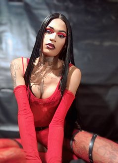 Versatile Gifted transgirl - Transsexual escort in Cape Town Photo 7 of 9