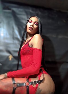 Versatile Gifted transgirl - Transsexual escort in Cape Town Photo 8 of 9
