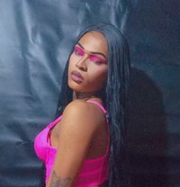 Versatile Gifted transgirl - Transsexual escort in Cape Town