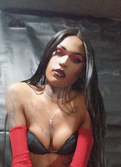 Versatile Gifted transgirl - Acompañantes transexual in Cape Town Photo 9 of 9