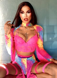 Versatile Gifted transgirl - Transsexual escort in Cape Town Photo 9 of 9