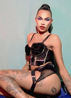 Versatile Gifted transgirl - Transsexual escort in Cape Town Photo 10 of 12