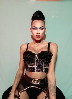 Versatile Gifted transgirl - Transsexual escort in Cape Town Photo 11 of 12