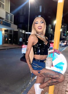 Versatile Gifted transgirl - Transsexual escort in Cape Town Photo 13 of 13
