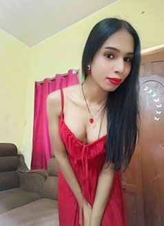 Versatile Shemale Roshni - Transsexual escort in Chennai Photo 8 of 13