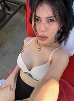 Versatile sweet girl with a hard Dick - Transsexual escort in Abu Dhabi Photo 11 of 13