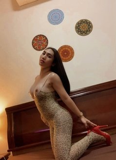 Filipino VERSATILE TOP 🥂 - Nam - Transsexual escort in Dubai Photo 27 of 30