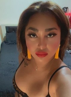 VERSATILE Filipino New in Jordan - Transsexual escort in Amman Photo 28 of 30