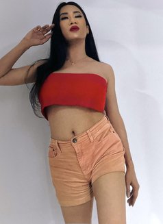 She is a fox 🇹🇭 - Transsexual escort in Riyadh Photo 21 of 29