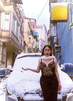 She is a fox 🇹🇭 - Transsexual escort in Riyadh Photo 26 of 29