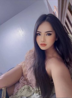 Versatile Ts Best GFE - Acompañantes transexual in Bangkok Photo 15 of 20