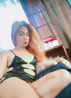 Versa top fully functional - Transsexual escort in Manila Photo 14 of 16