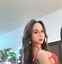 JESLYINE YOUNG SPAICY 8 INCI VERS TOP🫦 - Transsexual escort in Bali Photo 24 of 29
