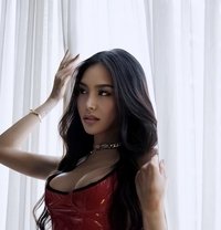 Verse Sentual Goddess - Transsexual escort in Bangkok