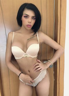 Very Sexy Thai Shemale Poppy - Transsexual escort in Dubai Photo 11 of 13