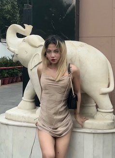 Vesper - Transsexual escort in New Delhi Photo 12 of 17