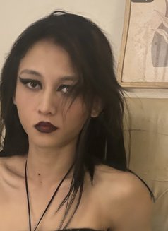 Vesper - Transsexual escort in New Delhi Photo 13 of 13