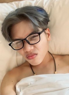 Vexen Sam Young Boy 22 - Male escort in Singapore Photo 5 of 17