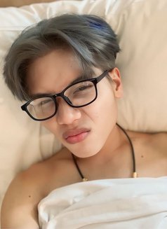 Vexen Sam Young Boy - Male escort in Kuala Lumpur Photo 2 of 16