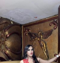 Vhanesha New in Here - Transsexual escort in Paris