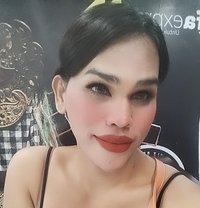 Vhanesha Shemale Top - Transsexual escort in Bali