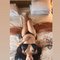 Vhio - escort in Bali