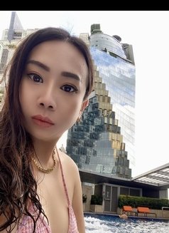 Vickky incall 2500/outcall 3500 - escort in Bangkok Photo 7 of 29