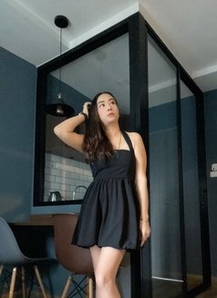 Vickky incall2500/outcall3500 - escort in Bangkok Photo 19 of 24