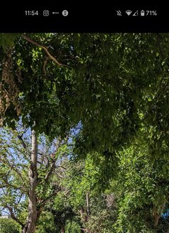 Vicky - Acompañantes masculino in Bangalore Photo 4 of 4