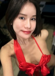 Vicky 🇹🇭 - Transsexual escort in İstanbul Photo 1 of 28