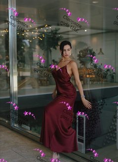 Victoria Amazing - escort in Dubai Photo 15 of 17