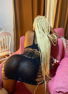 Shanaya - escort in Cairo Photo 1 of 2