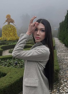 Victoria ladyboy sweet - masseuse in Khobar Photo 14 of 14