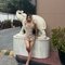 Victoria - Transsexual escort in New Delhi