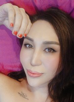 Victoria Rivera - Transsexual escort in Ko Samui Photo 16 of 18