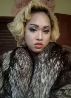 Victoria's Secret - Transsexual escort in Bangkok Photo 14 of 15