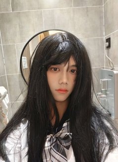 Anna Sexy Asian Shemale - Transsexual escort in Chengdu Photo 7 of 7