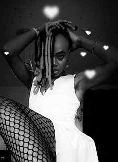 Video calls&videos hook up( Nairobi) - Transsexual escort in Nairobi Photo 13 of 13