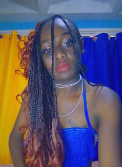 Video calls&videos hook up( Nairobi) - Acompañantes transexual in Nairobi Photo 15 of 15