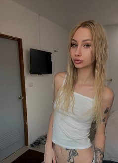 Vika - escort in Phuket Photo 5 of 7