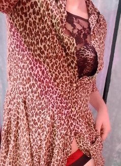 Viki - Acompañantes transexual in Amman Photo 5 of 7
