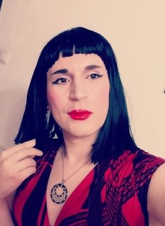 Viki - Acompañantes transexual in Amman Photo 7 of 7