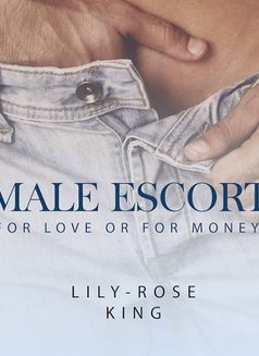 Viksit - Male escort in Bhopal Photo 2 of 2