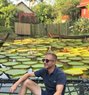 Viktor - Male escort in Phuket Photo 1 of 1