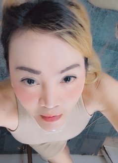 Vin - Transsexual escort in Manila Photo 1 of 2