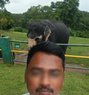 Vinay Vinay - Male escort in Chennai Photo 1 of 1