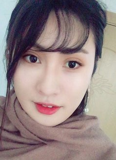 Vincekiki - Transsexual escort in Shenyang Photo 1 of 6