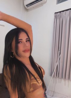 Vio lah - Transsexual companion in Bali Photo 7 of 11