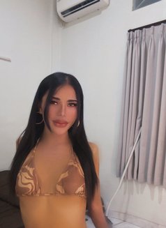 Vio lah - Transsexual companion in Bali Photo 9 of 11