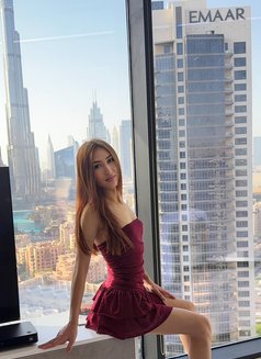 VIP Agency Dubai - escort agency in Dubai Photo 6 of 12